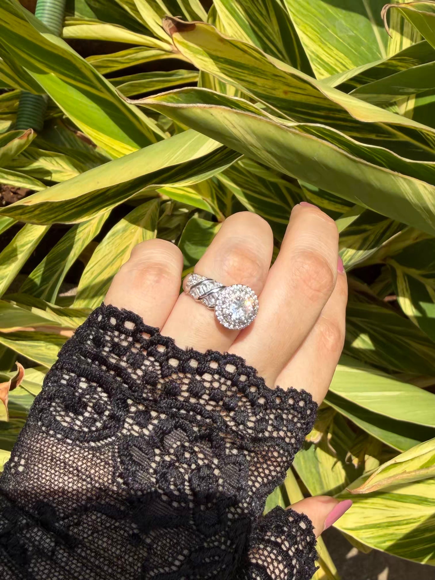 Halo Rope Propose Solitaire Ring ( Silver )